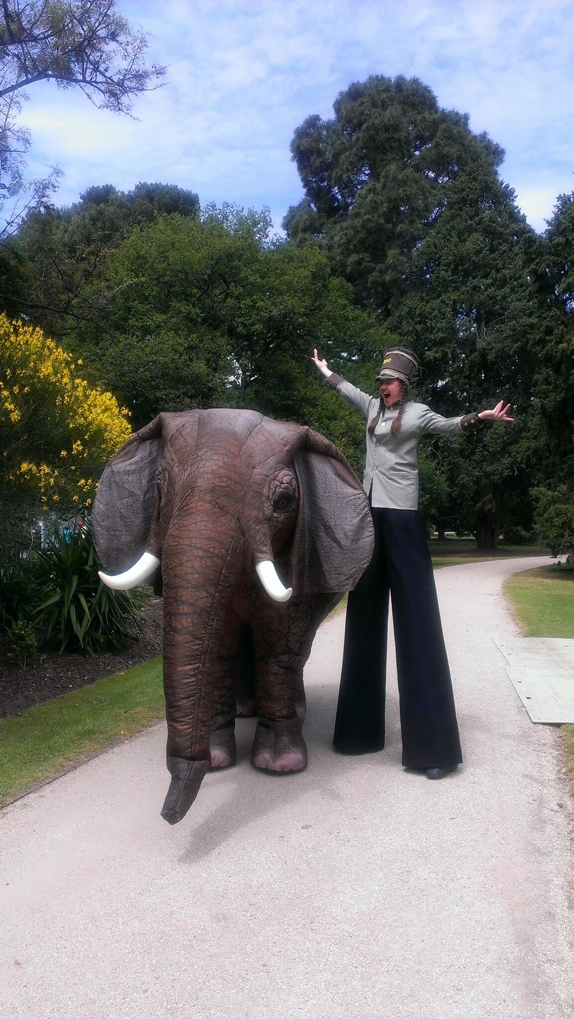 Eesha The Elephant