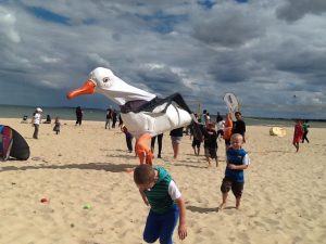 Giant Seagulls