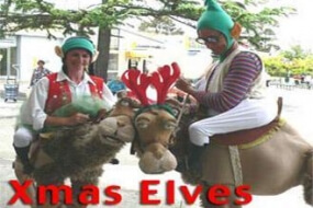 Xmas Elves