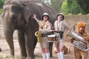 Musical Safari Brothers