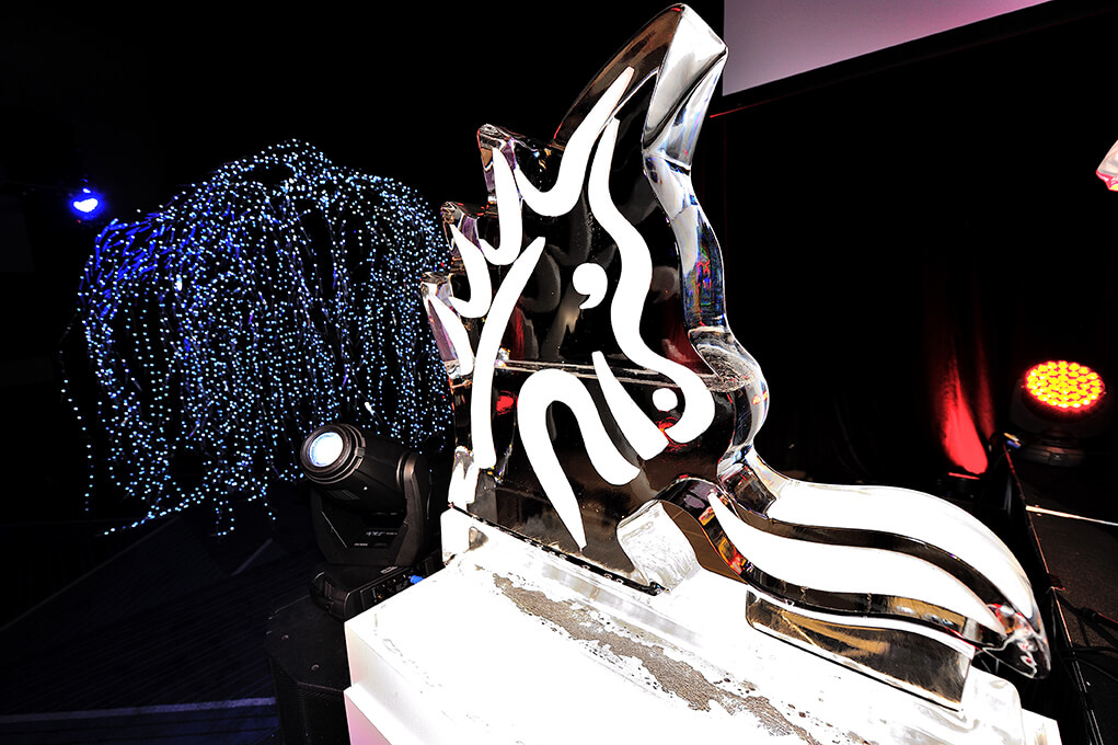 Corporate awards night-st george 2015-3-6-caporiea-ice sculpture
