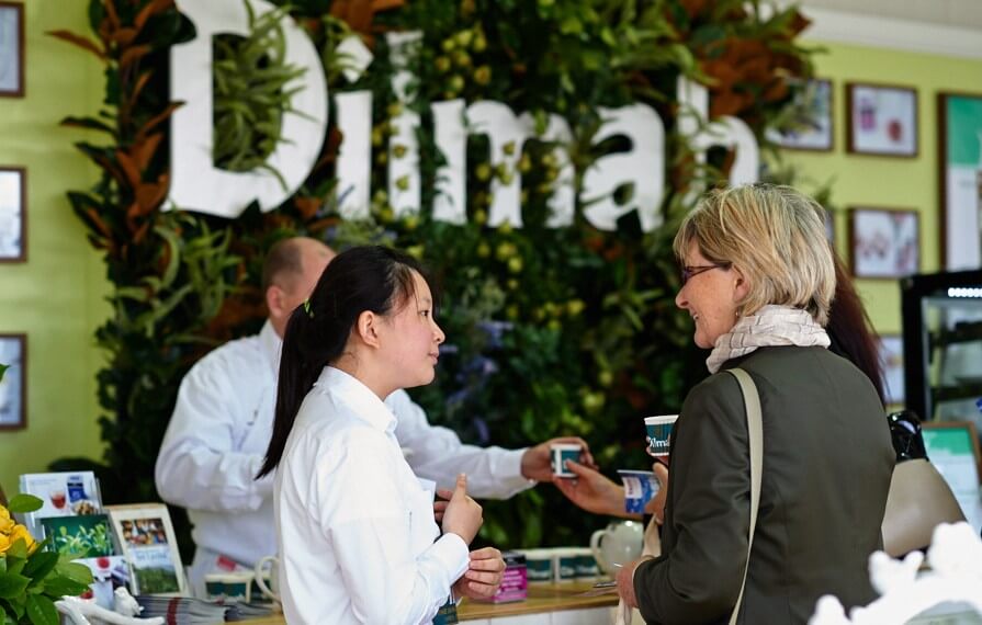 brand activations-dilmah-tastes of melbourne-5