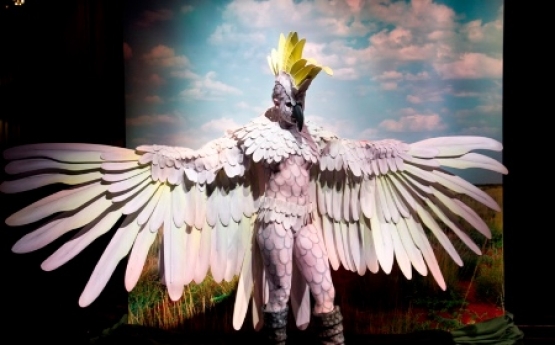 theatrical bird costume