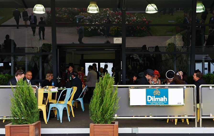 spring carnival marquee-dilmah 2014-5