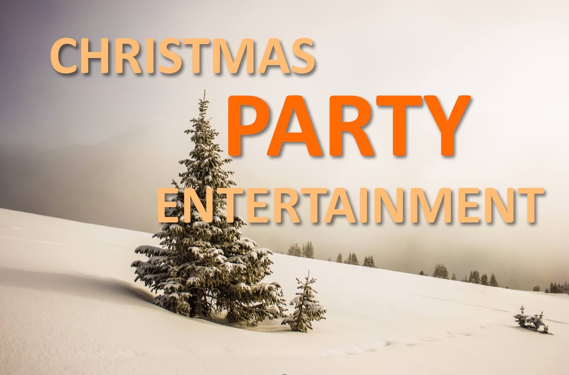 Christmas Party Entertainment