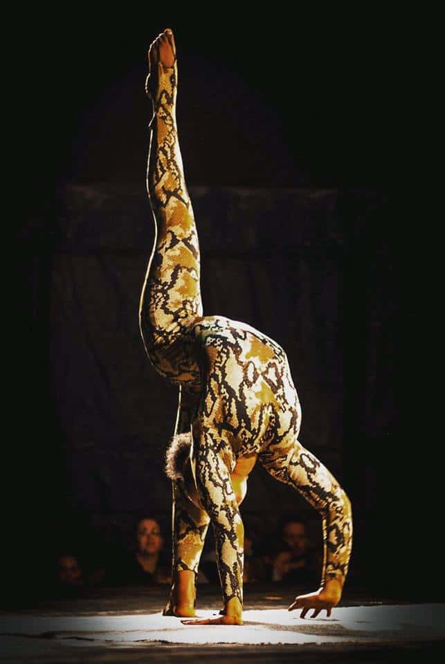 Contortion | Single or Duo